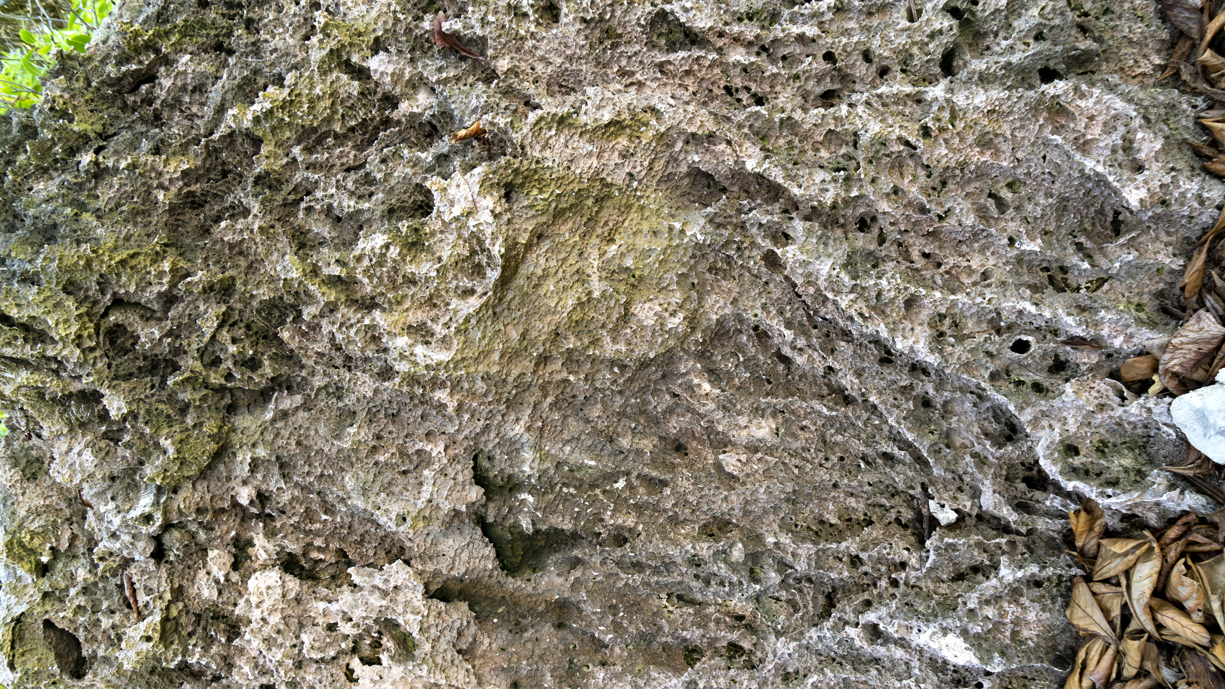 A Return to Foul Bay