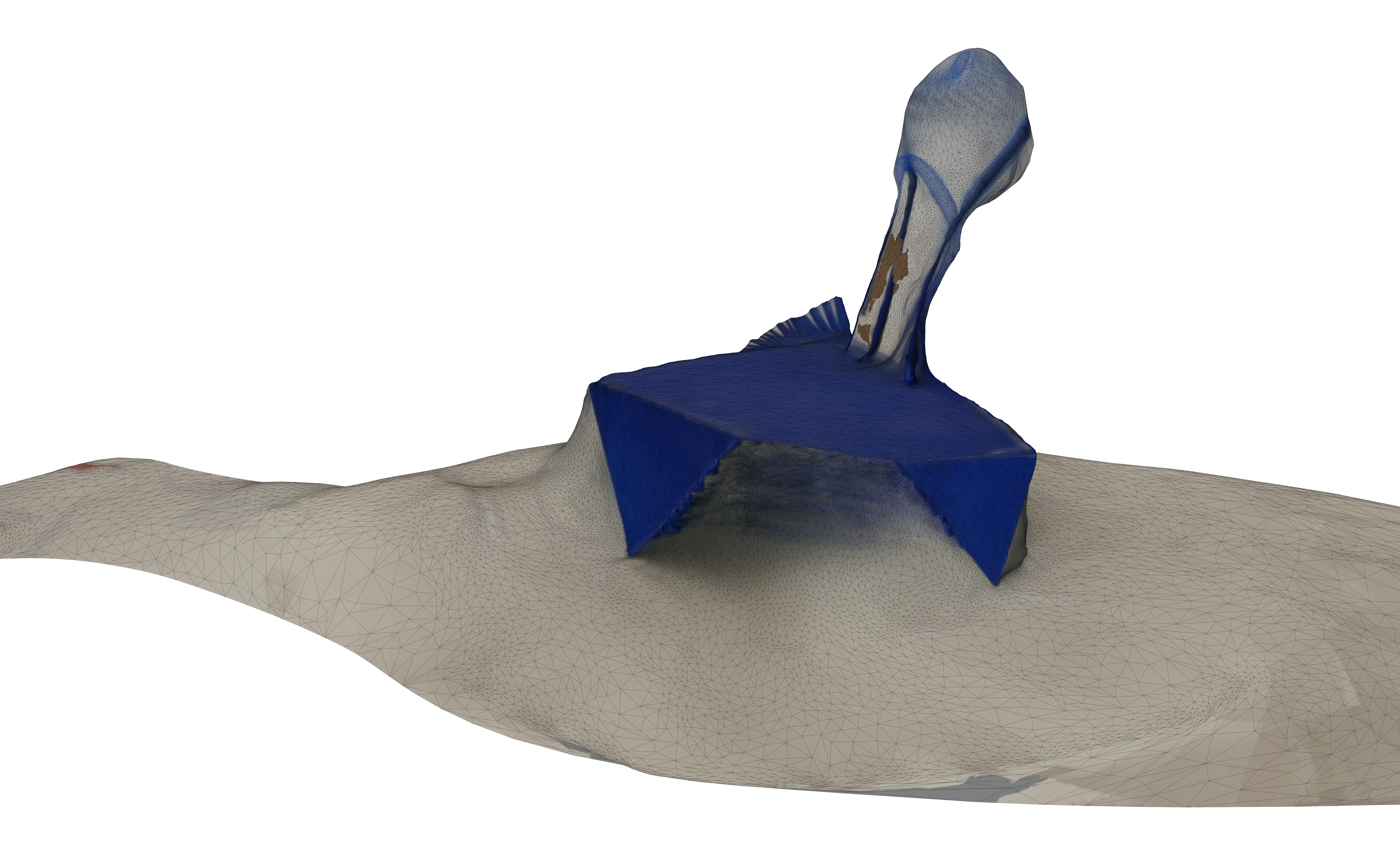 Para-Functional Infrastructures